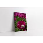 Tablosan Çiçek Kanvas Tablo 80 X 120 Cm Ka03534