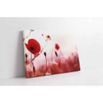 Tablosan Dalında Kırmızı Çiçek Kanvas Tablo 140 X 210 Cm Ka03262