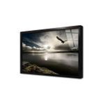 Tablosan Gece Vakti Gökyüzünde Kartal Çerçeveli Cam Tablo 60X90 Cm Ca20288