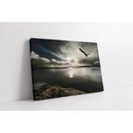 Tablosan Gece Vakti Gökyüzünde Kartal Kanvas Tablo 75 X 100 Cm Ka20288