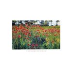 Tablosan Gelincik Tarlası Kanvas Tablo 30X40 Cm Kb03371 30X40 Cm, KB03371, 8687879472894