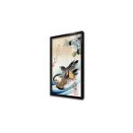Tablosan İki Ördek Çerçeveli Cam Tablo 20X40 Cm Cb31088
