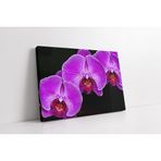Tablosan Lila Rengi Çiçekler Kanvas Tablo 20 X 30 Cm Ka03485