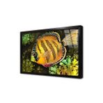 Tablosan Melek Balığı Çerçeveli Cam Tablo 60X90 Cm Cb15121