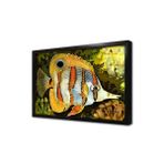 Tablosan Melek Balığı Çerçeveli Cam Tablo 60X90 Cm Cb15122