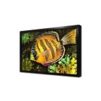 Tablosan Melek Balığı Çerçeveli Mdf Tablo 20 X 30 Cm Mb15121