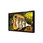 Tablosan Melek Balığı Çerçeveli Mdf Tablo 30 X 40 Cm Mb15122