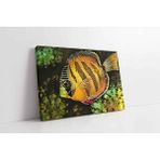 Tablosan Melek Balığı Kanvas Tablo 90 X 120 Cm Kb15121