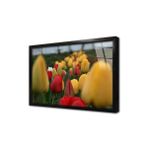 Tablosan Sarı Kırmızı Laleler Çerçeveli Cam Tablo 20X30 Cm Ca03323