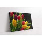 Tablosan Sarı Kırmızı Laleler Kanvas Tablo 40 X 60 Cm Ka03308