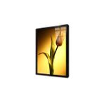 Tablosan Sarı Lale Çerçeveli Cam Tablo 60X90 Cm Ca03399