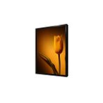 Tablosan Sarı Lale Çerçeveli Mdf Tablo 30 X 40 Cm Ma03398