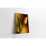 Tablosan Sarı Lale Kanvas Tablo 35 X 50 Cm Ka03411
