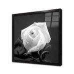 Tablosan Siyah Fonda Beyaz Çiçek Çerçeveli Cam Tablo 60X60 Cm Ca03220