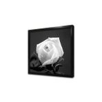 Tablosan Siyah Fonda Beyaz Çiçek Çerçeveli Mdf Tablo 60 X 60 Cm Ma03220