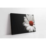 Tablosan Siyah Fonda Beyaz Çiçek Kanvas Tablo 40 X 60 Cm Ka03222