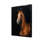 Tablosan Siyah Fonda Kahverengi Yeleli At Çerçeveli Mdf Tablo 30 X 40 Cm Mb15063
