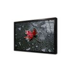 Tablosan Siyah Fonda Kırmızı Yaprak Çerçeveli Cam Tablo 30X40 Cm Ca03214