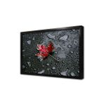 Tablosan Siyah Fonda Kırmızı Yaprak Çerçeveli Mdf Tablo 20 X 30 Cm Ma03214