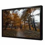 Tablosan Sonbahar Ağaçları Çerçeveli Cam Tablo