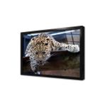Tablosan Vahşi Doğa Kartal Çerçeveli Cam Tablo 30X40 Cm Ca32167