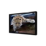 Tablosan Vahşi Doğa Kartal Çerçeveli Mdf Tablo 50 X 70 Cm Ma32167