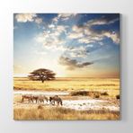 Tabloshop Afrika Zebra 40x40 cm Tablo
