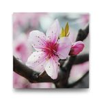 Tabloshop Baharda Kiraz Çiçeği 70x70 cm Tablo
