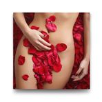 Tabloshop Beauty in Roses 40x40 cm Tablo