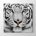 Tabloshop Beyaz Kaplan 100x100 cm Tablo