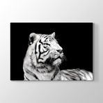 Tabloshop Beyaz Kaplan Profil 75x50 cm Tablo