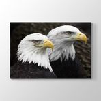 Tabloshop Çift Başlı Kartal 125x80 cm Tablosu