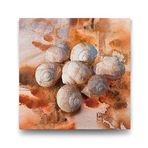 Tabloshop Deniz Kabuğu Soyut 100x100 cm Tablo