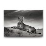 Tabloshop Dişi Aslan 140x100 cm Tablo