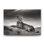 Tabloshop Dişi Aslan 90x60 cm Tablo