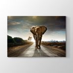 Tabloshop Fil 60x40 cm Tablo
