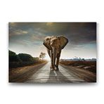 Tabloshop Fil 75x50 cm Tablo