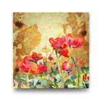 Tabloshop Gelincik 30x30 cm Yağlı Boya Tablo
