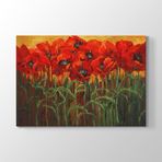 Tabloshop Gelincik Çiçeği Tarlası 60x40 cm Tablo