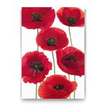 Tabloshop Gelincik Çiçeği Vektör 60x90 cm Tablo