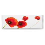 tabloshop Gelincik Dekoratif Panorama Tablo - 210x70cm