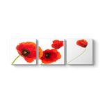 tabloshop Gelincik Dekoratif Panorama Tablo 96 x 30-3 Parçalı
