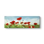 tabloshop Gelincik Tarlası Panorama Tablo 120 x 40
