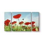 tabloshop Gelincik Tarlası Panorama Tablo 126 x 70-3 Parçalı