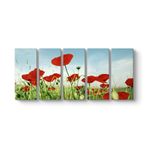 tabloshop Gelincik Tarlası Panorama Tablo 162 x 70-5 Parçalı
