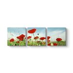 tabloshop Gelincik Tarlası Panorama Tablo 96 x 30-3 Parçalı