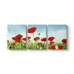 tabloshop Gelincik Tarlası Panorama Tablo 96 x 40-3 Parçalı