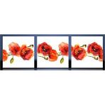 Tabloshop Gelincikler Kanvas Tablo