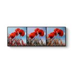 tabloshop Gelincikler Kolaj Panorama Tablo 120 x 40