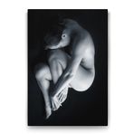 Tabloshop In the Womb 50x75 cm Tablo